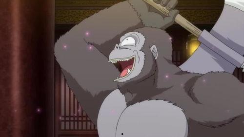 吃瓜少女王富贵八哥视频,揭秘娱乐圈幕后故事