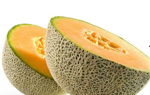 新娘吃哈密瓜视频播放下载,新娘品尝哈密瓜，视频播放下载热潮来袭