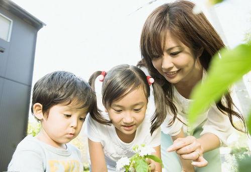 妈妈吃瓜小男孩的糖果视频,温馨互动萌翻网友