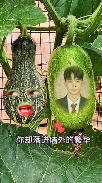 吃瓜宝宝特效怎么弄视频,轻松制作趣味视频教程