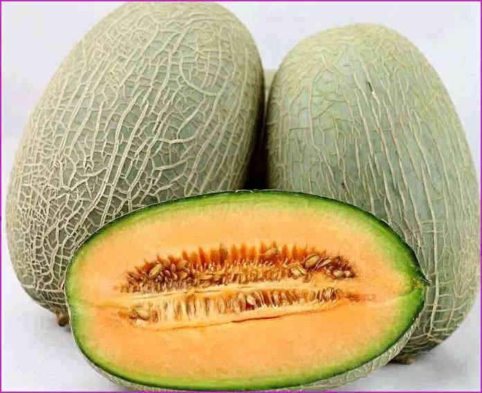 陈律吃哈密瓜视频,哈密瓜视频大揭秘