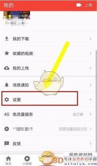 吃瓜最新玩法介绍图片视频