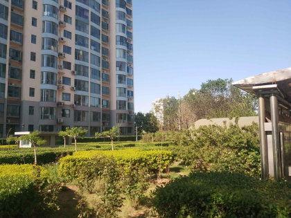 泰和家园吃瓜视频,揭秘社区生活百态