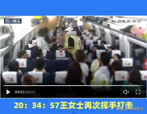 衡水吃瓜群众事件视频,网络围观下的社会现象解析