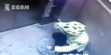 外卖小哥吃瓜顾客视频播放,揭秘外卖员日常趣事